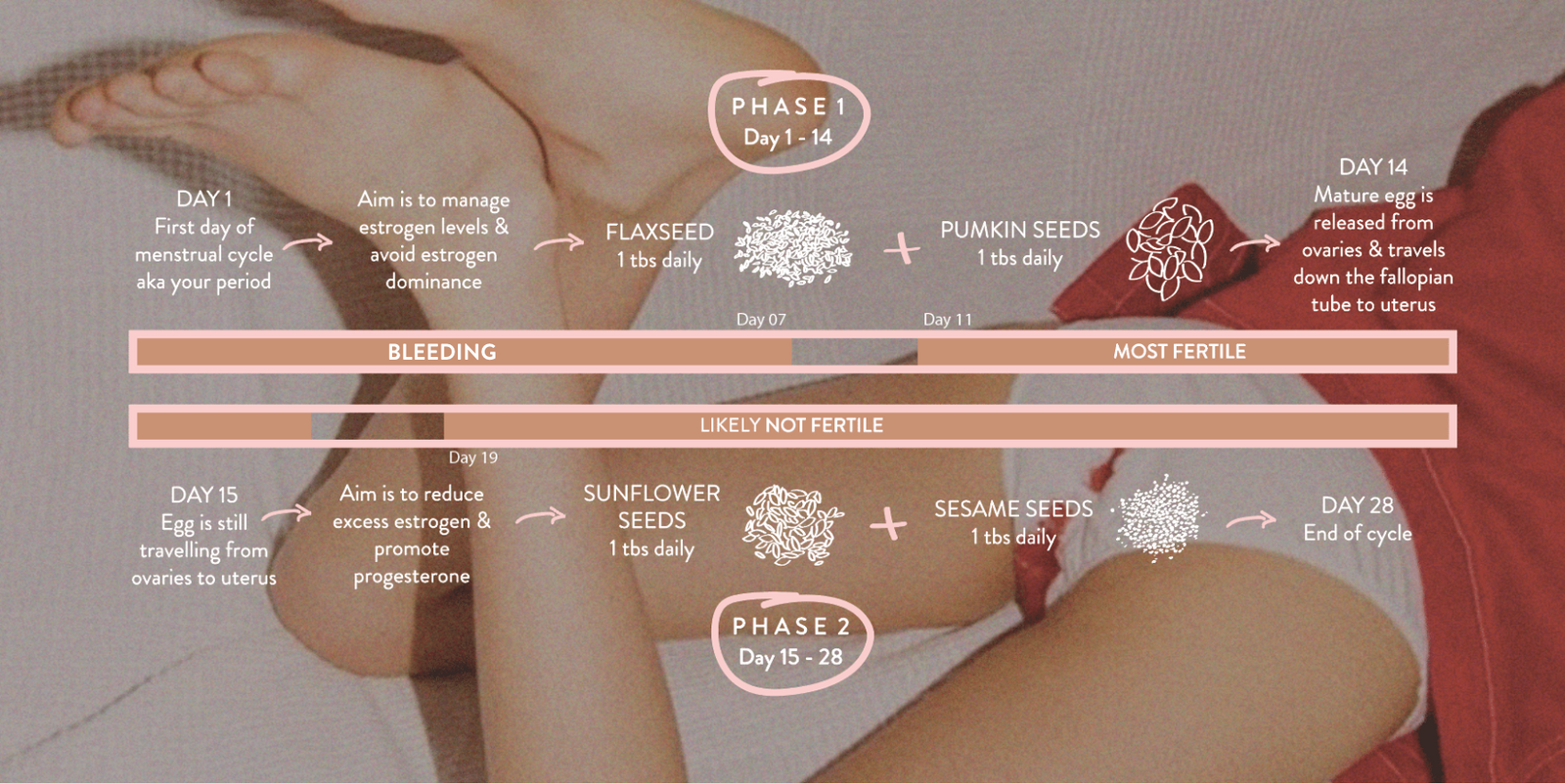 Seed cycling phases and what to eat