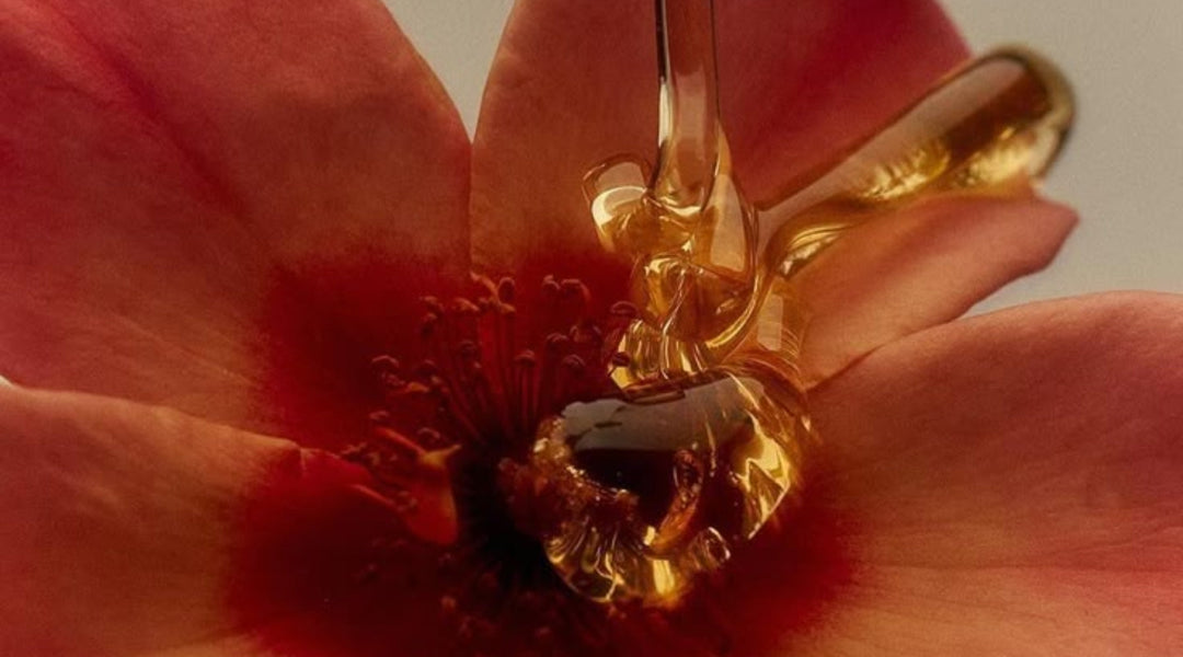 The Lowdown on Lube: Types, Uses, and Choosing What's Right for You