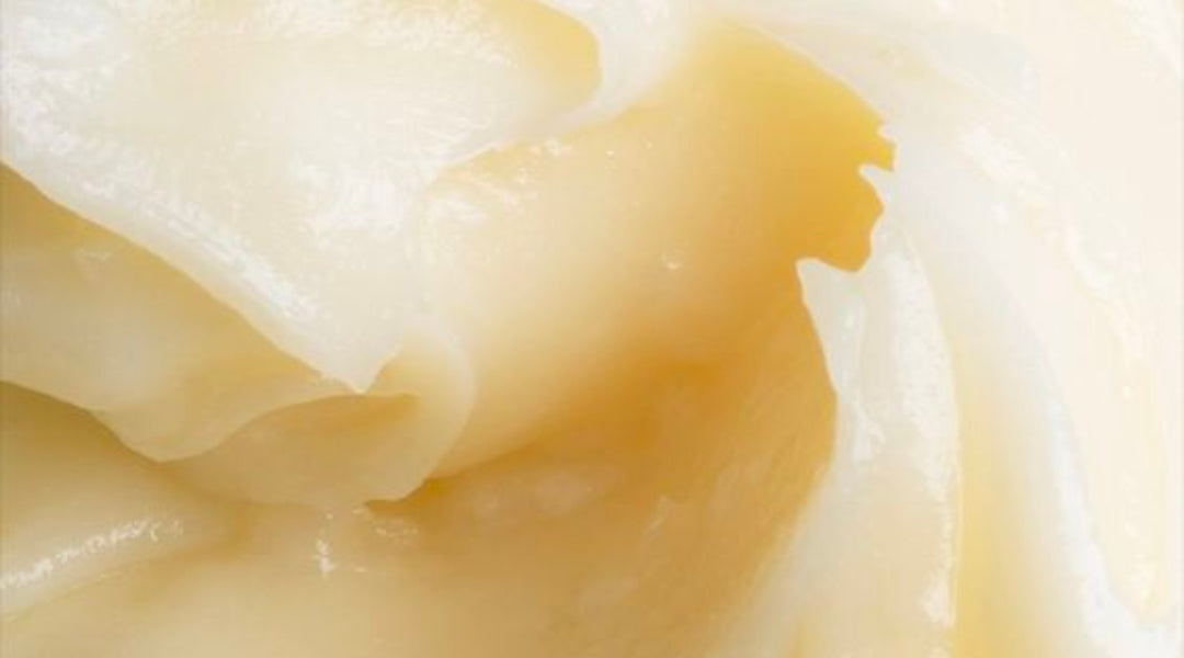 Understanding Cervical Mucus and What It’s Telling You About Your Cycle